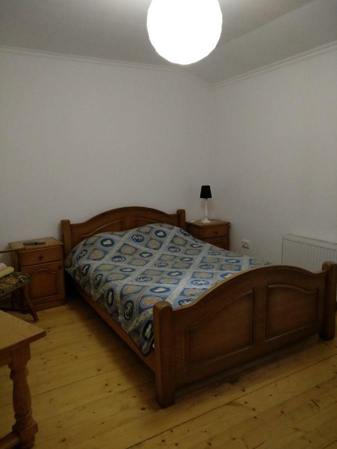 Shevchenka 19 Apartament Iwano-Frankiwsk Zewnętrze zdjęcie